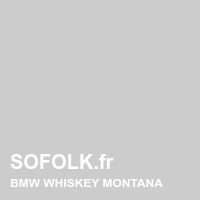 Teinte si&egrave;ge cuir BMW
