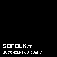 Teinte canapé cuir BOCONCEPT