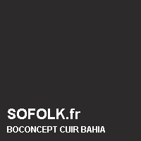 BOCONCEPT: leather sofa colour