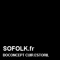 Teinte canapé cuir BOCONCEPT