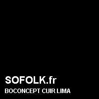 Teinte canapé cuir BOCONCEPT