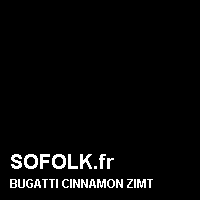 Teinte siège cuir BUGATTI