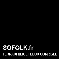Teinte siège cuir FERRARI