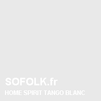 HOME SPIRIT: leather sofa colour