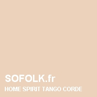 HOME SPIRIT: color del cuero