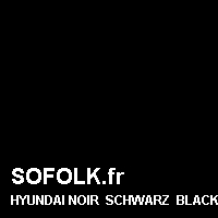 Teinte siège cuir HYUNDAI