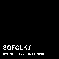 Teinte siège cuir HYUNDAI