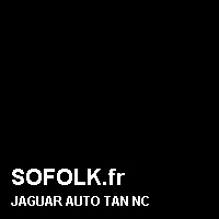 Teinte siège cuir JAGUAR
