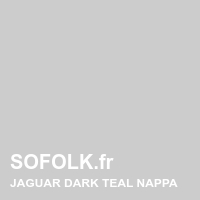 Teinte si&egrave;ge cuir JAGUAR