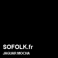 Teinte siège cuir JAGUAR