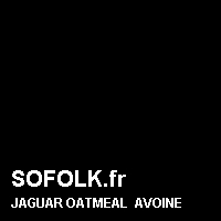 Teinte siège cuir JAGUAR