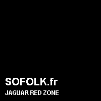 Teinte siège cuir JAGUAR