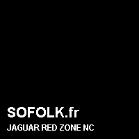 Teinte siège cuir JAGUAR