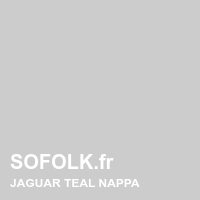 Teinte si&egrave;ge cuir JAGUAR