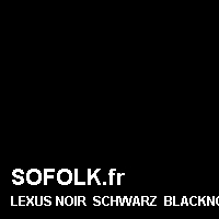 Teinte siège cuir LEXUS
