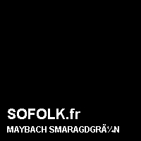 Teinte siège cuir MAYBACH
