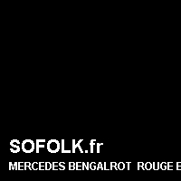 Teinte siège cuir MERCEDES