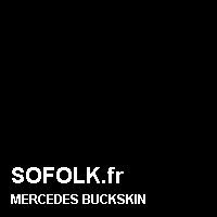 Teinte siège cuir MERCEDES
