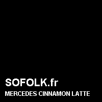 Teinte siège cuir MERCEDES