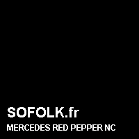 Teinte siège cuir MERCEDES