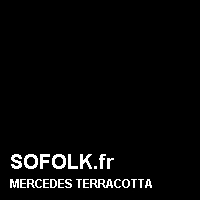 Teinte siège cuir MERCEDES