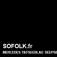 Teinte siège cuir MERCEDES