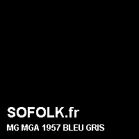 Teinte siège cuir MG