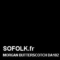 Teinte siège cuir MORGAN
