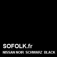Teinte siège cuir NISSAN