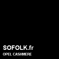 Teinte siège cuir OPEL