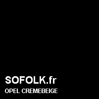 Teinte siège cuir OPEL
