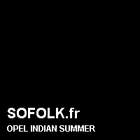 Teinte siège cuir OPEL