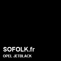 Teinte siège cuir OPEL