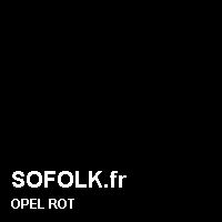 Teinte siège cuir OPEL