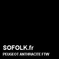 Teinte siège cuir PEUGEOT