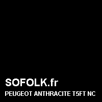 Teinte siège cuir PEUGEOT