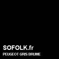 Teinte siège cuir PEUGEOT