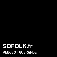 Teinte siège cuir PEUGEOT