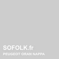 Teinte si&egrave;ge cuir PEUGEOT