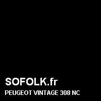 Teinte siège cuir PEUGEOT