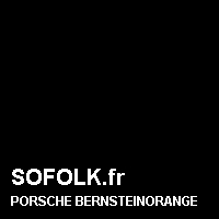 Teinte siège cuir PORSCHE
