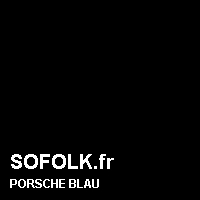 Teinte siège cuir PORSCHE