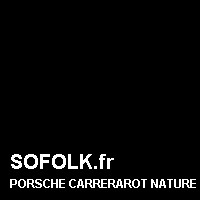 Teinte siège cuir PORSCHE