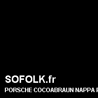Teinte siège cuir PORSCHE