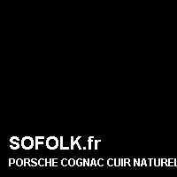Teinte siège cuir PORSCHE