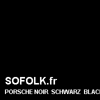 Teinte siège cuir PORSCHE