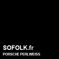 Teinte siège cuir PORSCHE