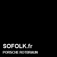 Teinte siège cuir PORSCHE