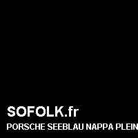 Teinte siège cuir PORSCHE
