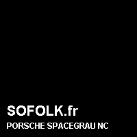 Teinte siège cuir PORSCHE